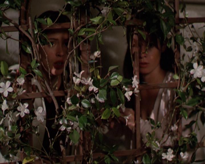 Charmed-Online-dot-net_209MsHellfire2053.jpg