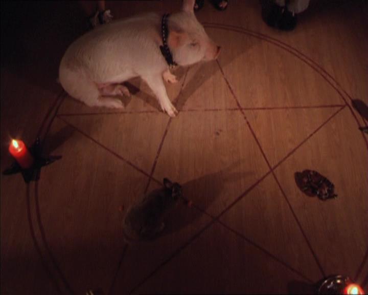 Charmed-Online-dot-213AnimalPragmatism0123.jpg