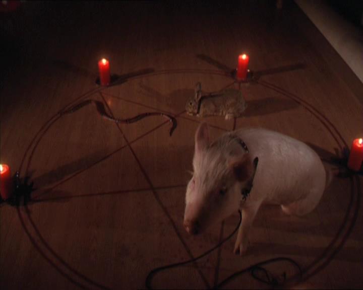 Charmed-Online-dot-213AnimalPragmatism0141.jpg