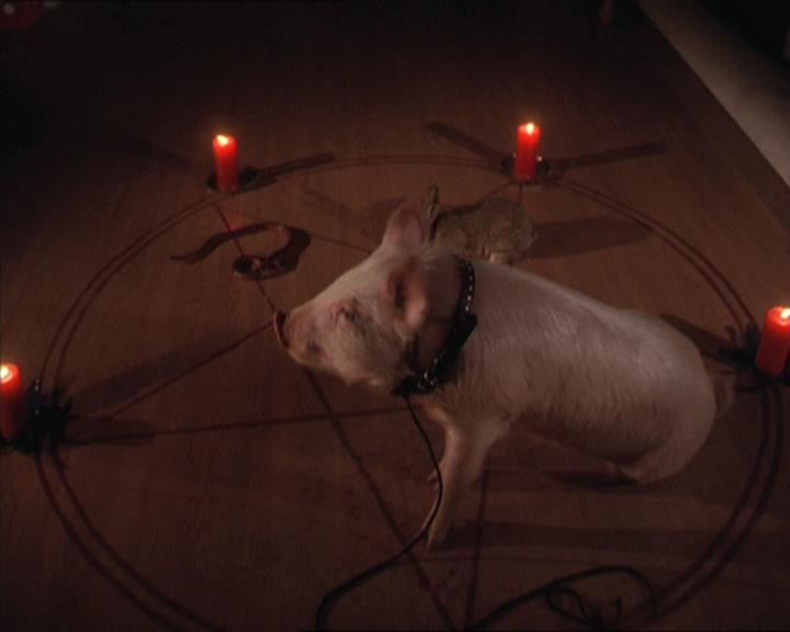 Charmed-Online-dot-213AnimalPragmatism0165.jpg