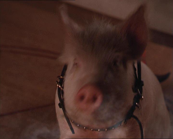 Charmed-Online-dot-213AnimalPragmatism0188.jpg
