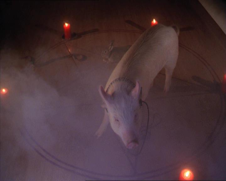 Charmed-Online-dot-213AnimalPragmatism0191.jpg