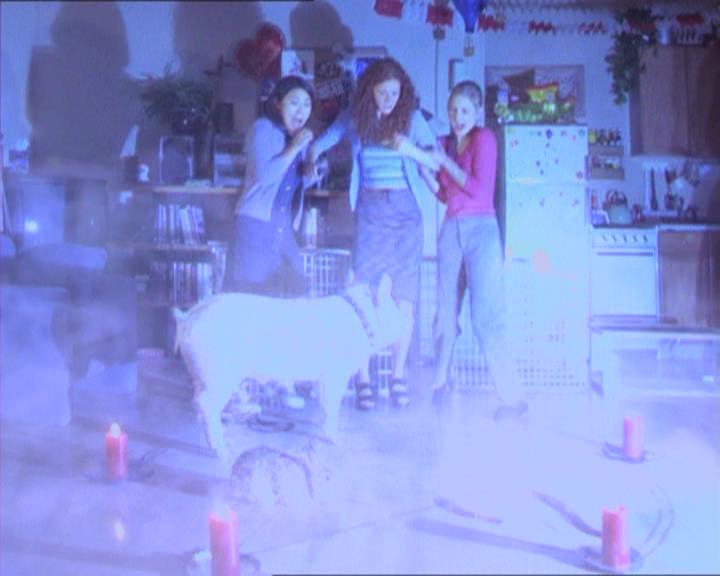 Charmed-Online-dot-213AnimalPragmatism0192.jpg