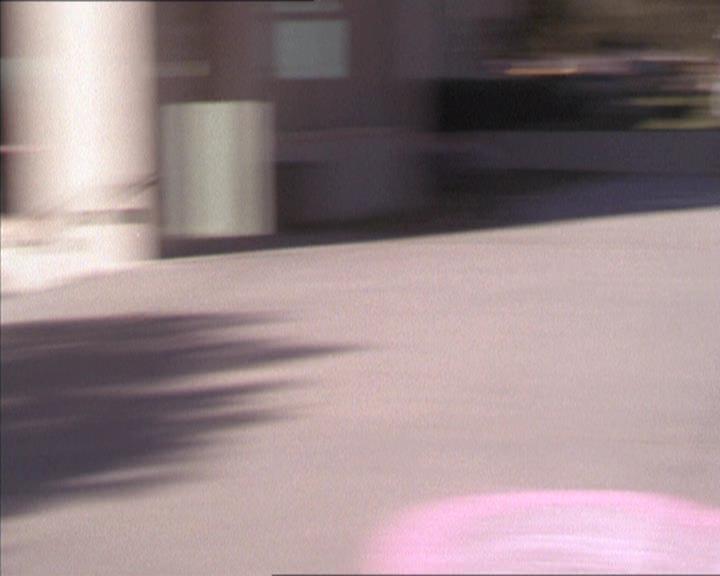 Charmed-Online-dot-213AnimalPragmatism0743.jpg