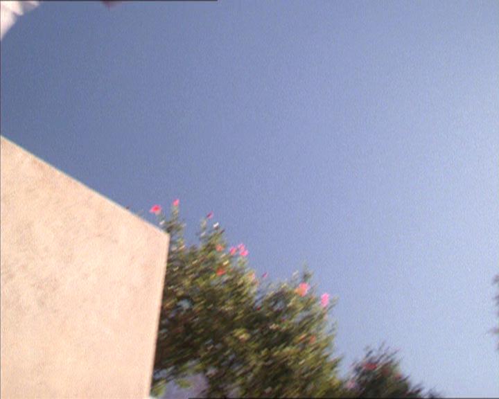 Charmed-Online-dot-213AnimalPragmatism0766.jpg