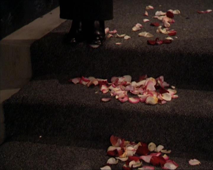 Charmed-Online-dot-213AnimalPragmatism1101.jpg Charmed-Online-dot-213AnimalPragmatism1101.jpg