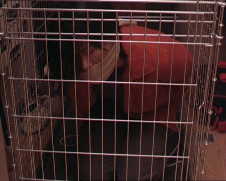 Charmed-Online-dot-213AnimalPragmatism1427.jpg
