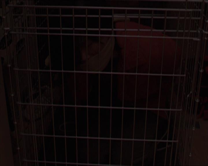 Charmed-Online-dot-213AnimalPragmatism1429.jpg