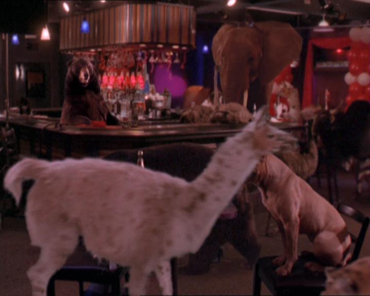 Charmed-Online-dot-213AnimalPragmatism1918.jpg