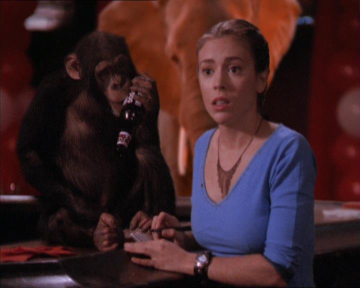 Charmed-Online-dot-213AnimalPragmatism1966.jpg