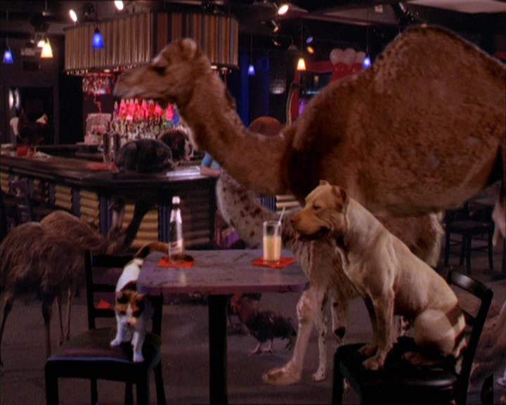 Charmed-Online-dot-213AnimalPragmatism2009.jpg