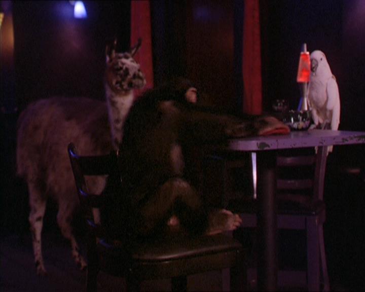 Charmed-Online-dot-213AnimalPragmatism2014.jpg