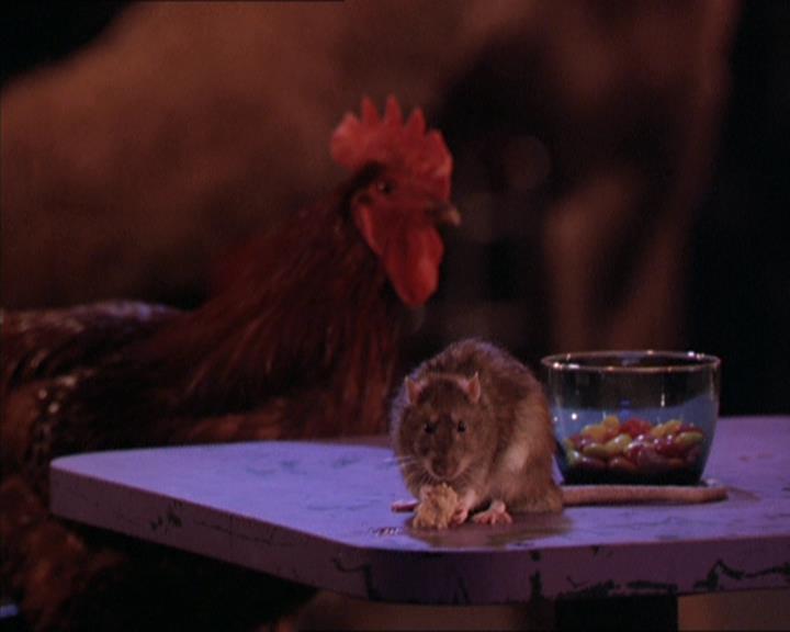 Charmed-Online-dot-213AnimalPragmatism2015.jpg