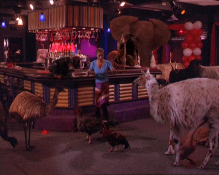 Charmed-Online-dot-213AnimalPragmatism2020.jpg