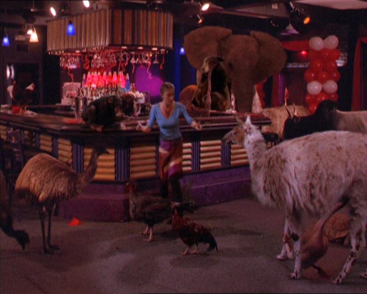 Charmed-Online-dot-213AnimalPragmatism2022.jpg