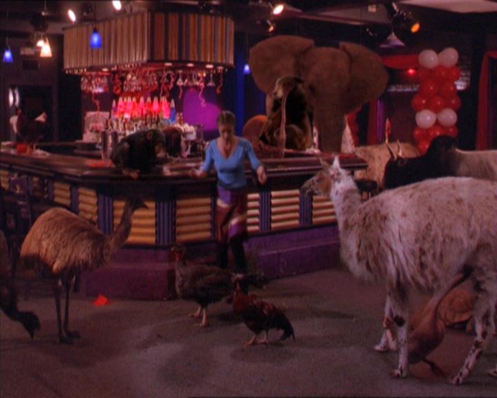 Charmed-Online-dot-213AnimalPragmatism2023.jpg