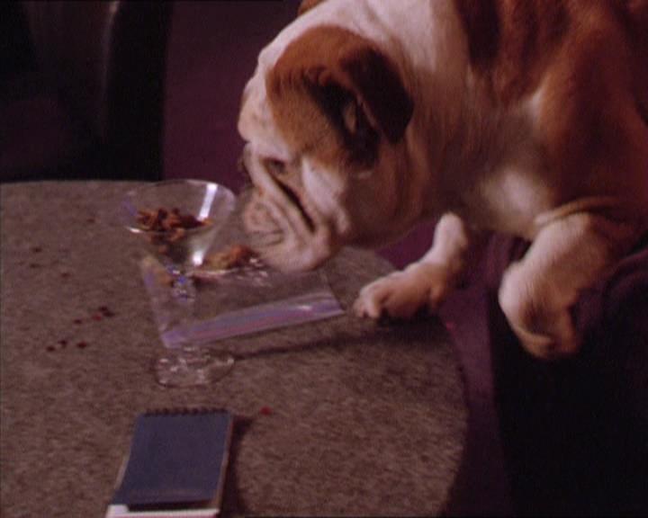 Charmed-Online-dot-213AnimalPragmatism2042.jpg