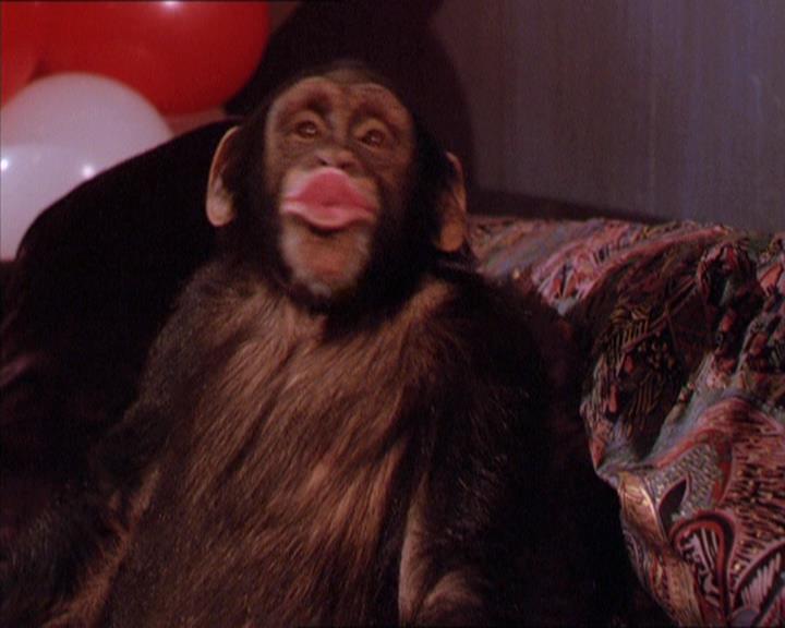 Charmed-Online-dot-213AnimalPragmatism2049.jpg