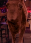 Charmed-Online-dot-213AnimalPragmatism1899.jpg
