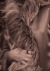 Charmed-Online-dot-214PardonMtPast0715.jpg