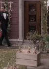 Charmed-Online-dot-214PardonMtPast0932.jpg