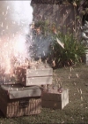 Charmed-Online-dot-214PardonMtPast0961.jpg