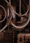 Charmed-Online-dot-214PardonMtPast0983.jpg