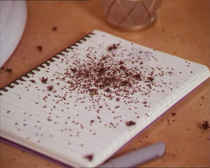 Charmed-Online-dot-215GiveMeASign0283.jpg