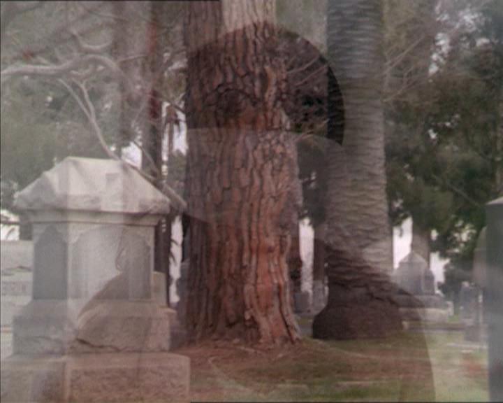 Charmed-Online-dot-215GiveMeASign0687.jpg