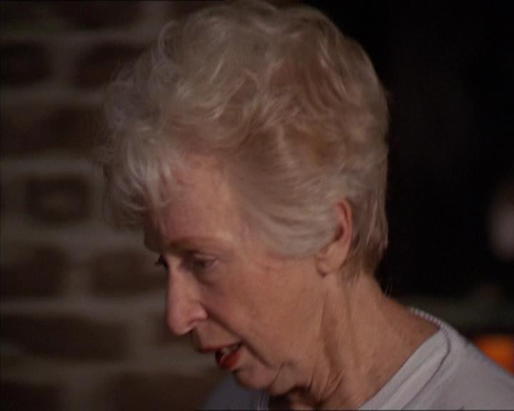 Charmed-Online-dot-217HowtoMakeAQuiltoutofAmericans0103.jpg