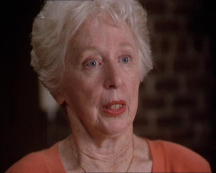 Charmed-Online-dot-217HowtoMakeAQuiltoutofAmericans0861.jpg