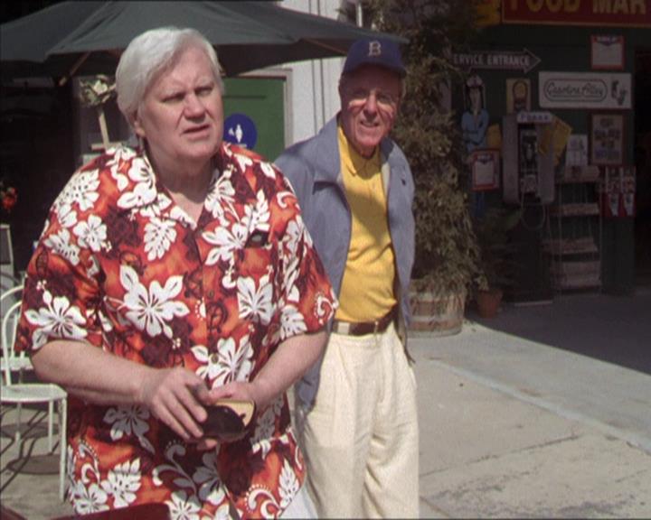 Charmed-Online-dot-217HowtoMakeAQuiltoutofAmericans0990.jpg