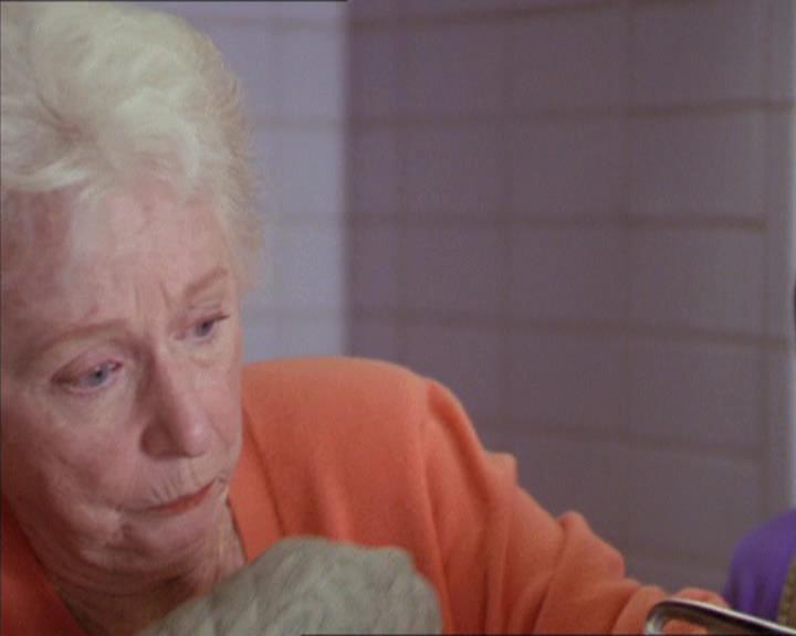 Charmed-Online-dot-217HowtoMakeAQuiltoutofAmericans1039.jpg