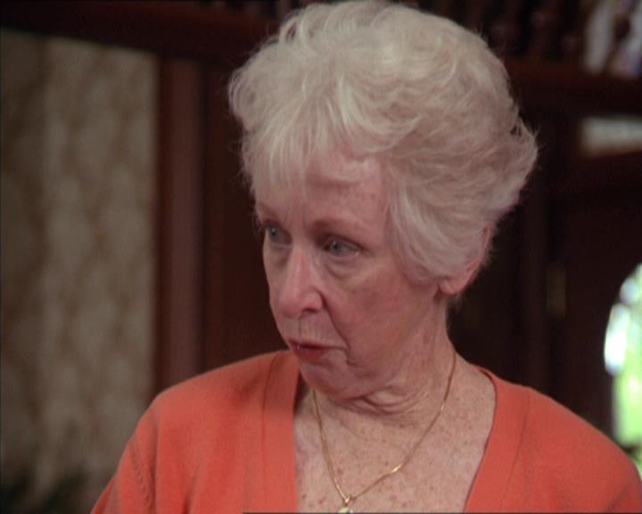 Charmed-Online-dot-217HowtoMakeAQuiltoutofAmericans1098.jpg
