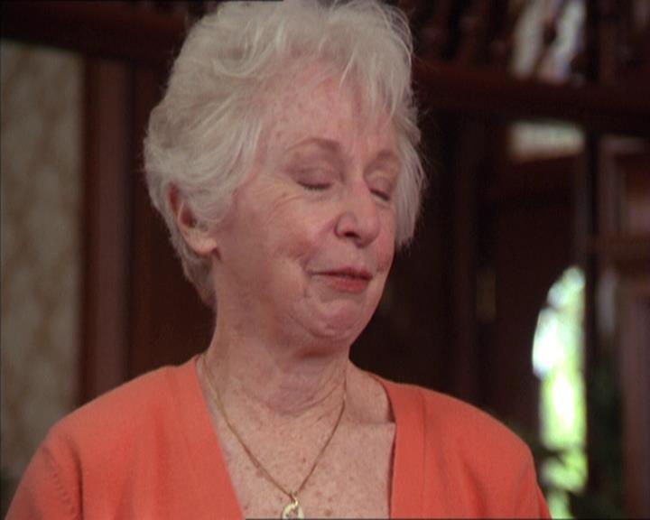 Charmed-Online-dot-217HowtoMakeAQuiltoutofAmericans1103.jpg