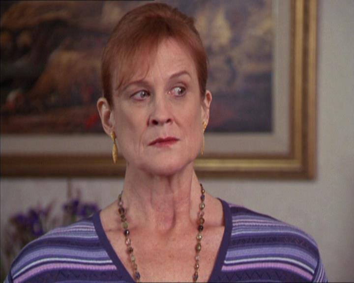 Charmed-Online-dot-217HowtoMakeAQuiltoutofAmericans1129.jpg