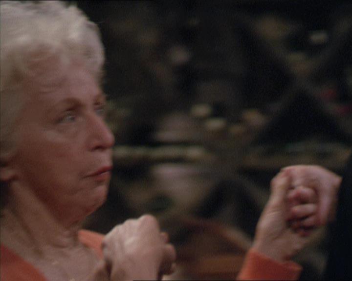 Charmed-Online-dot-217HowtoMakeAQuiltoutofAmericans1197.jpg