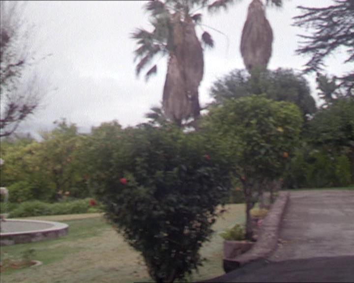 Charmed-Online-dot-217HowtoMakeAQuiltoutofAmericans1308.jpg