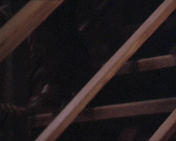 Charmed-Online-dot-217HowtoMakeAQuiltoutofAmericans1351.jpg