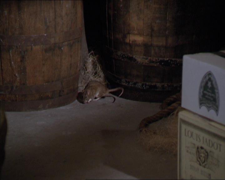 Charmed-Online-dot-217HowtoMakeAQuiltoutofAmericans1389.jpg