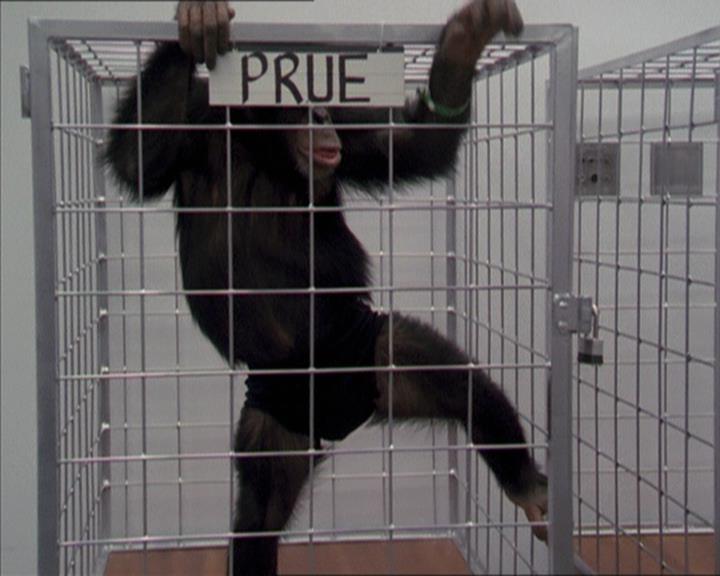 Charmed-Online-dot-220AstralMonkeys0146.jpg
