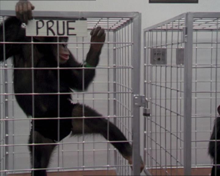 Charmed-Online-dot-220AstralMonkeys0147.jpg