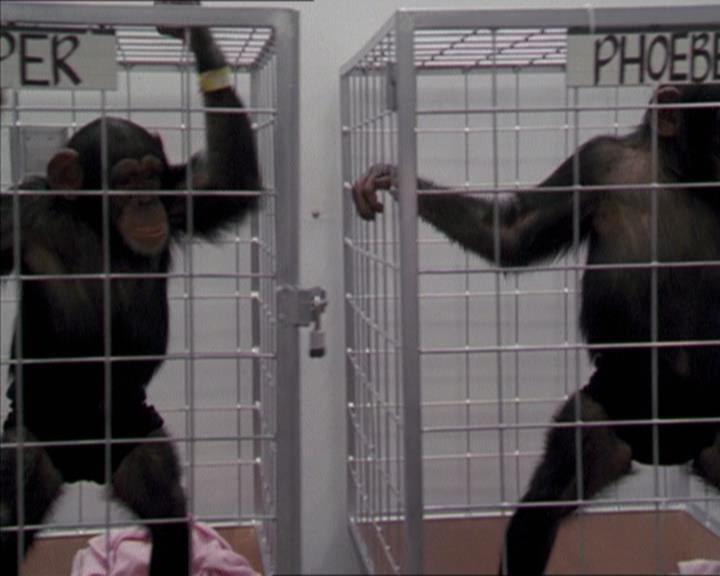 Charmed-Online-dot-220AstralMonkeys0151.jpg