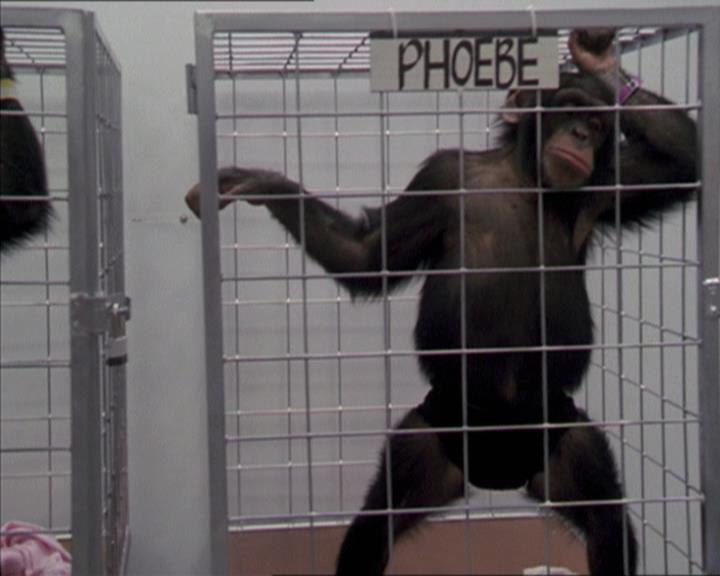 Charmed-Online-dot-220AstralMonkeys0152.jpg