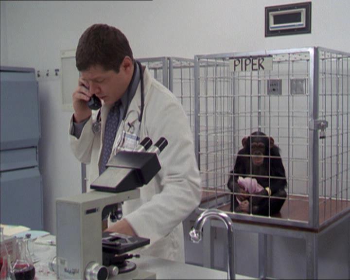 Charmed-Online-dot-220AstralMonkeys0171.jpg