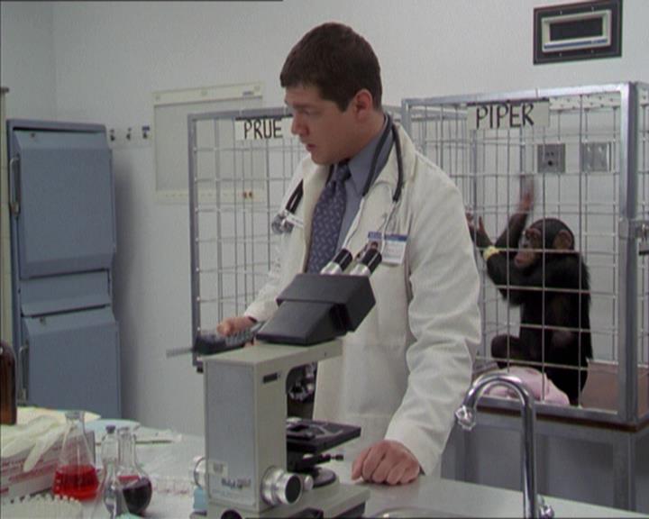 Charmed-Online-dot-220AstralMonkeys0192.jpg