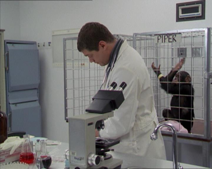 Charmed-Online-dot-220AstralMonkeys0194.jpg