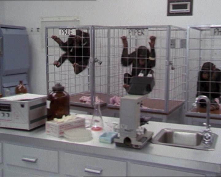 Charmed-Online-dot-220AstralMonkeys0326.jpg