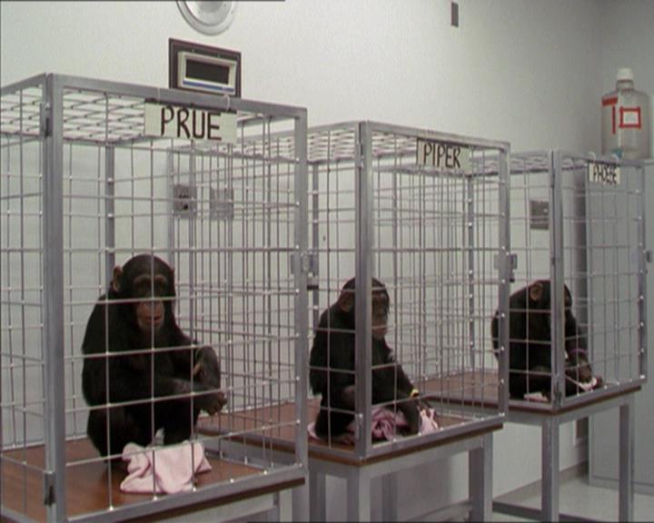 Charmed-Online-dot-220AstralMonkeys0635.jpg