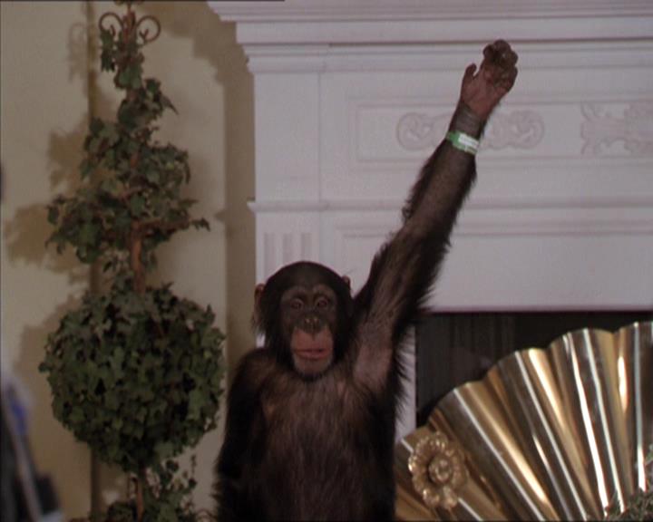 Charmed-Online-dot-220AstralMonkeys0662.jpg